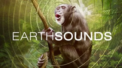 Earthsounds S01