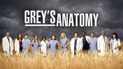 Grey's Anatomy S07