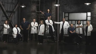Grey's Anatomy S09