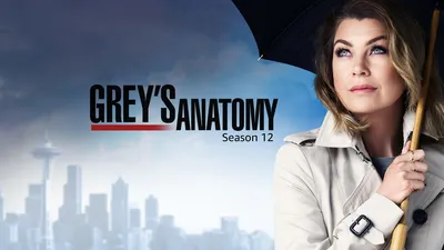 Grey’s Anatomy S12
