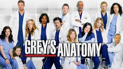 Grey's Anatomy S13