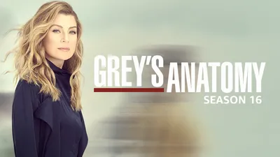Grey's Anatomy S16